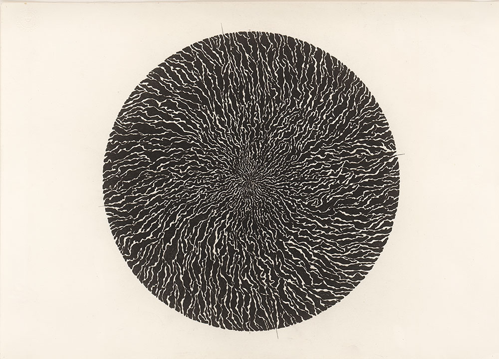 Materia Incognita IIIa, 2010