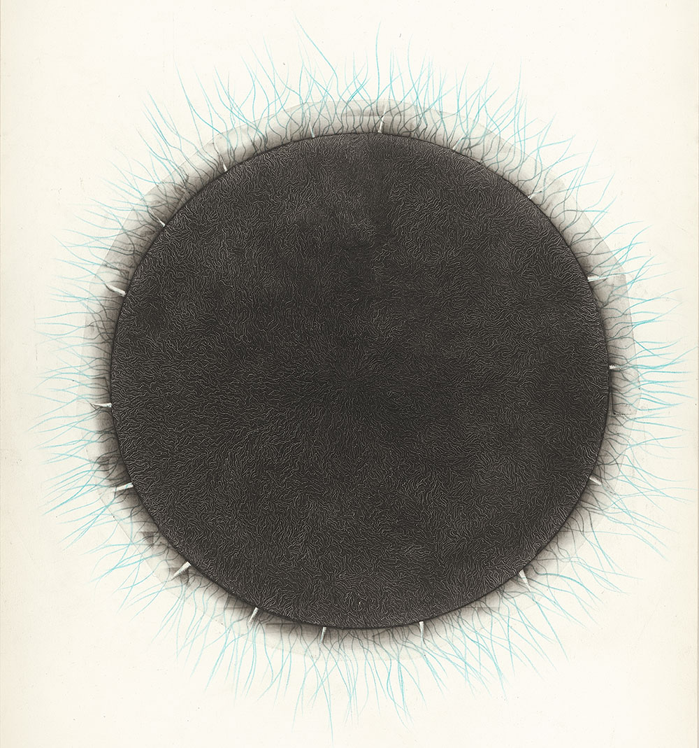 Materia Incognita IIa, 2010