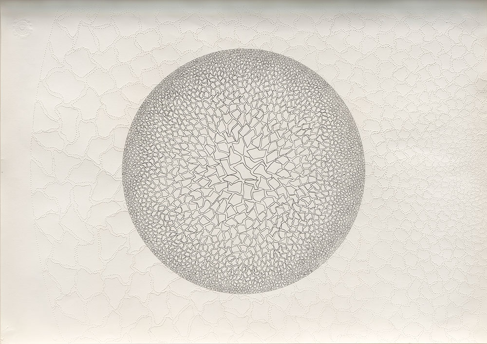 Materia-Incognita-Ia, 2010