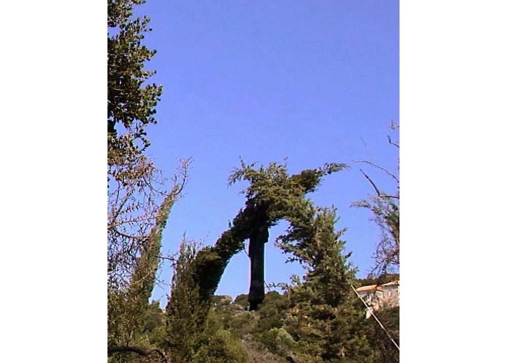 Pitiokamptis, 2005 | View