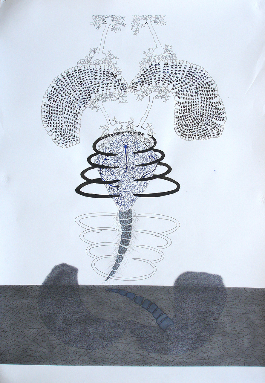Untitled_b, 2006